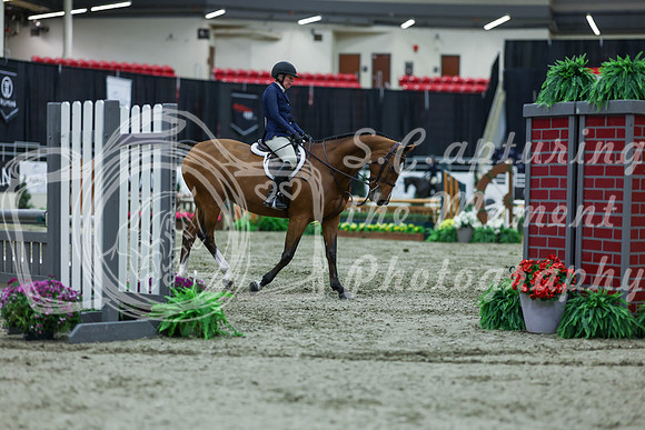2025 - Shea - Royal West - Saturday October 18th - 02829