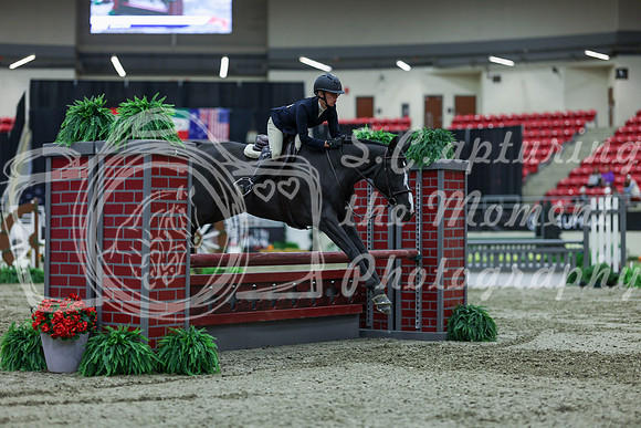2025 - Shea - Royal West - Saturday October 18th - 02838