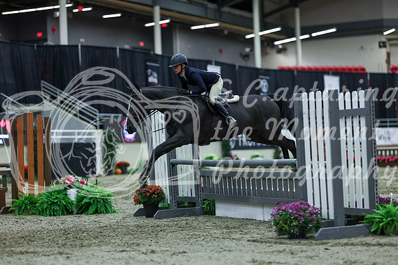2025 - Shea - Royal West - Saturday October 18th - 02845