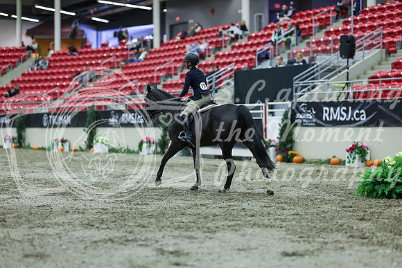 2025 - Shea - Royal West - Saturday October 18th - 02894