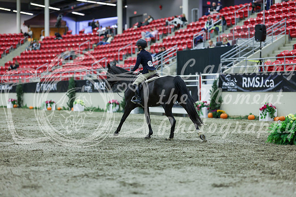 2025 - Shea - Royal West - Saturday October 18th - 02895