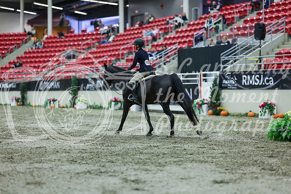 2025 - Shea - Royal West - Saturday October 18th - 02896