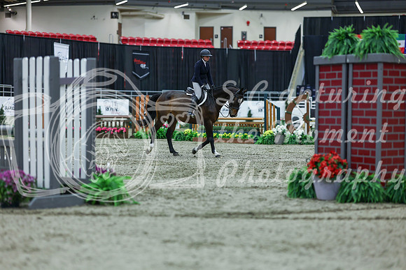 2025 - Shea - Royal West - Saturday October 18th - 02079