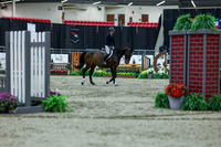 2025 - Shea - Royal West - Saturday October 18th - 02080