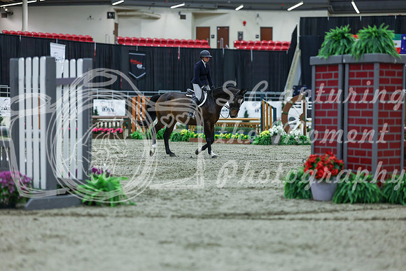 2025 - Shea - Royal West - Saturday October 18th - 02080