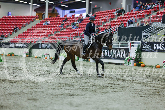 2025 - Shea - Royal West - Saturday October 18th - 02083