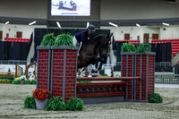2025 - Shea - Royal West - Saturday October 18th - 02086