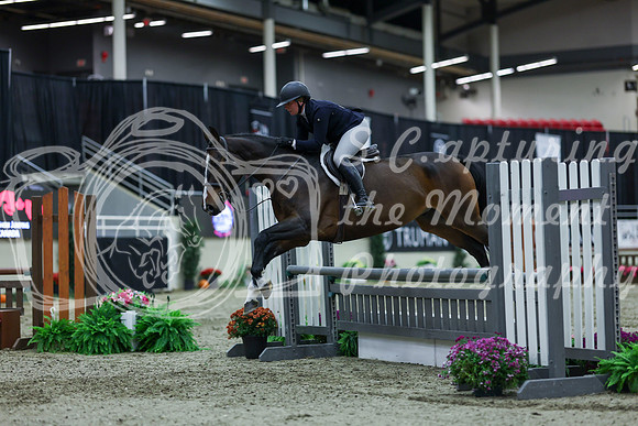 2025 - Shea - Royal West - Saturday October 18th - 02101