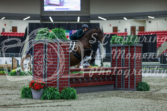 2025 - Shea - Royal West - Saturday October 18th - 02323