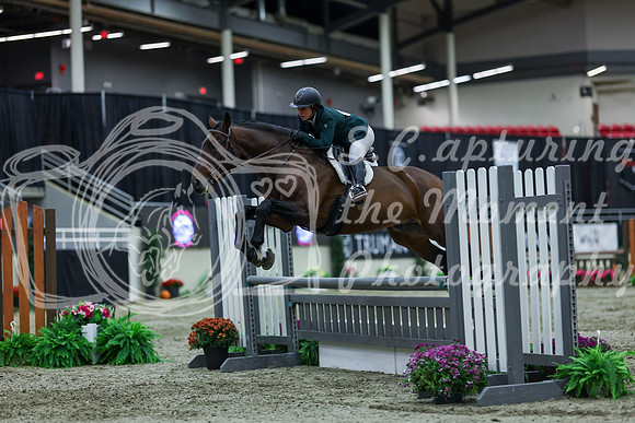 2025 - Shea - Royal West - Saturday October 18th - 02337