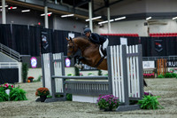 2025 - Shea - Royal West - Saturday October 18th - 02552