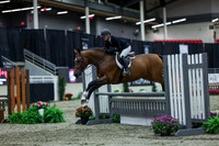 2025 - Shea - Royal West - Saturday October 18th - 02557