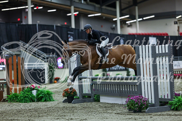 2025 - Shea - Royal West - Saturday October 18th - 02557