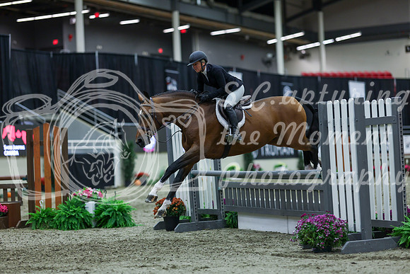 2025 - Shea - Royal West - Saturday October 18th - 02558