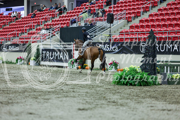 2025 - Shea - Royal West - Saturday October 18th - 02559