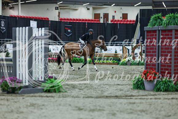 2025 - Shea - Royal West - Saturday October 18th - 02563