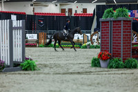 2025 - Shea - Royal West - Saturday October 18th - 01812