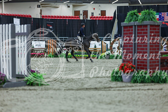 2025 - Shea - Royal West - Saturday October 18th - 01812