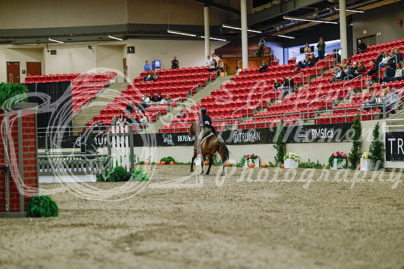 2025 - Haylee - Royal West - Saturday October 18th - 03642
