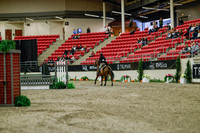 2025 - Haylee - Royal West - Saturday October 18th - 03643