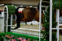 2025 - Haylee - Royal West - Saturday October 18th - 03648