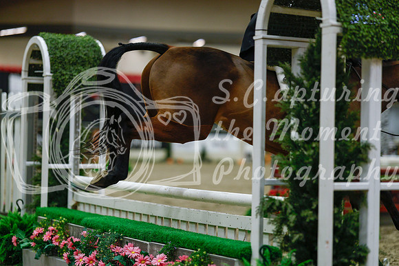 2025 - Haylee - Royal West - Saturday October 18th - 03648