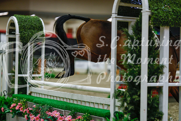2025 - Haylee - Royal West - Saturday October 18th - 03650
