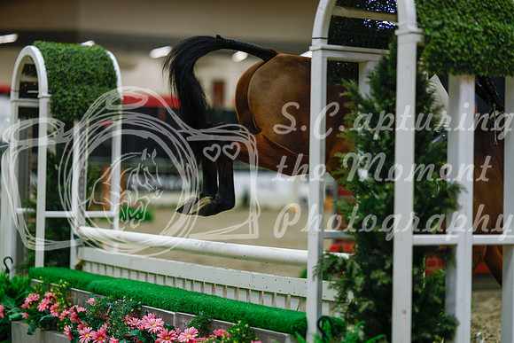 2025 - Haylee - Royal West - Saturday October 18th - 03651
