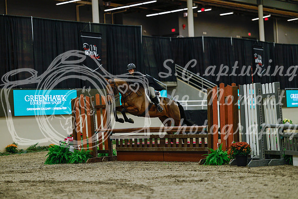 2025 - Haylee - Royal West - Saturday October 18th - 03653
