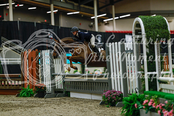 2025 - Haylee - Royal West - Saturday October 18th - 03923