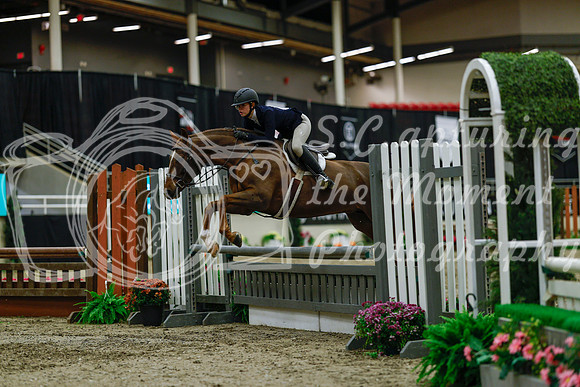 2025 - Haylee - Royal West - Saturday October 18th - 03925