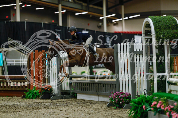2025 - Haylee - Royal West - Saturday October 18th - 03926