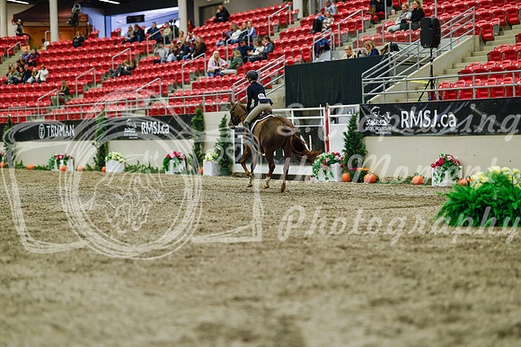 2025 - Haylee - Royal West - Saturday October 18th - 03930
