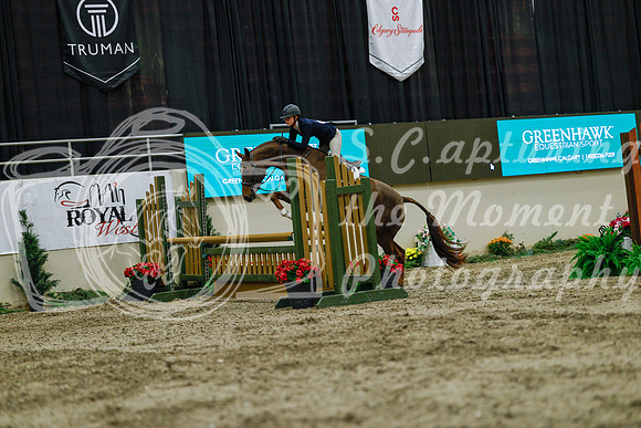 2025 - Haylee - Royal West - Saturday October 18th - 03937