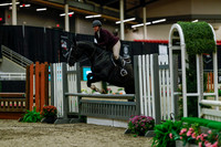 2025 - Haylee - Royal West - Saturday October 18th - 03952