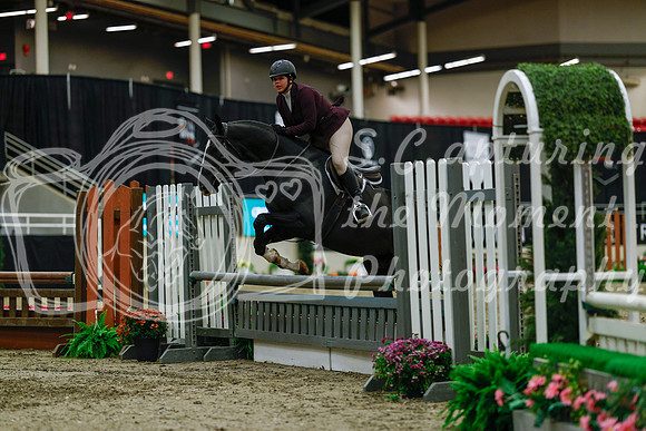 2025 - Haylee - Royal West - Saturday October 18th - 03952
