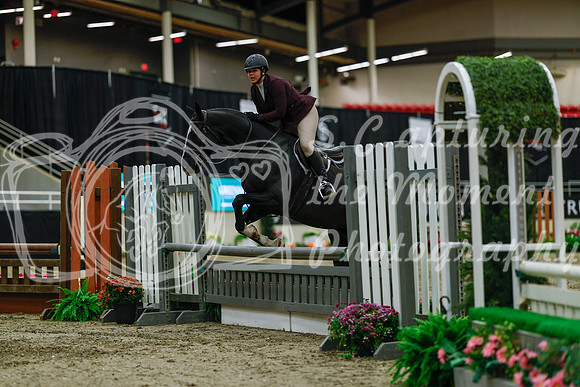 2025 - Haylee - Royal West - Saturday October 18th - 03951