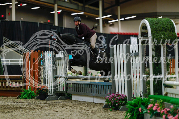 2025 - Haylee - Royal West - Saturday October 18th - 03953