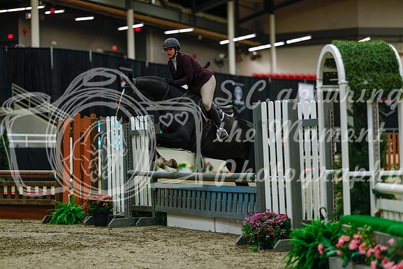 2025 - Haylee - Royal West - Saturday October 18th - 03954