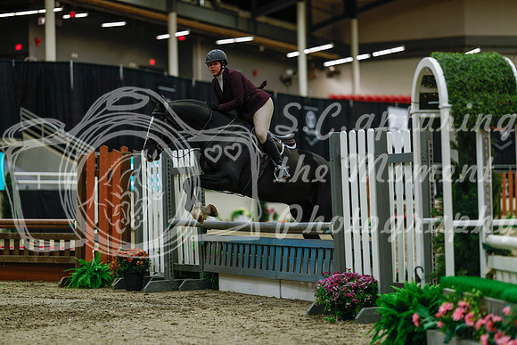 2025 - Haylee - Royal West - Saturday October 18th - 03955