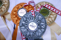 2025 - Shea - Royal West - Saturday October 18th - 04943