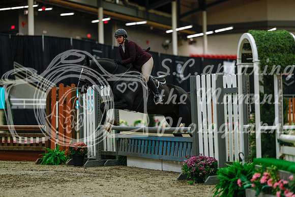 2025 - Haylee - Royal West - Saturday October 18th - 03956