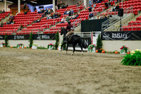 2025 - Haylee - Royal West - Saturday October 18th - 03957