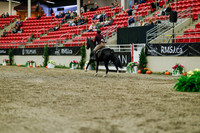 2025 - Haylee - Royal West - Saturday October 18th - 03958