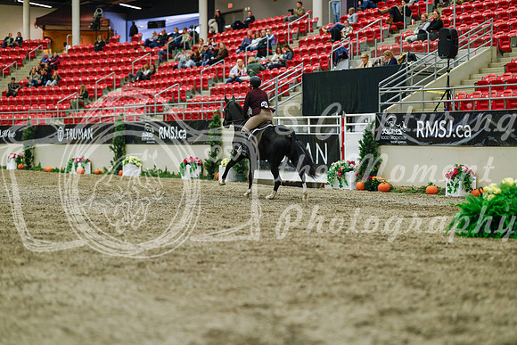 2025 - Haylee - Royal West - Saturday October 18th - 03958