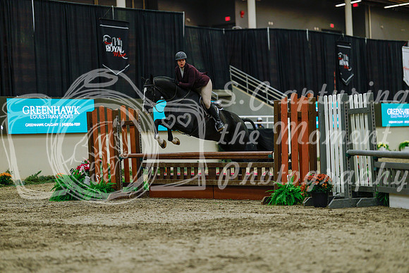 2025 - Haylee - Royal West - Saturday October 18th - 03959