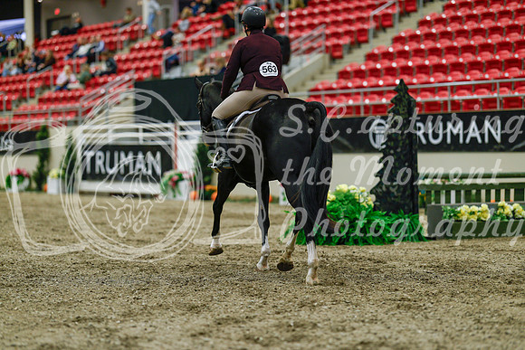 2025 - Haylee - Royal West - Saturday October 18th - 03972