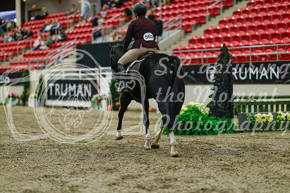 2025 - Haylee - Royal West - Saturday October 18th - 03973