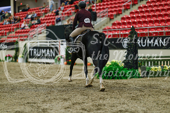2025 - Haylee - Royal West - Saturday October 18th - 03974