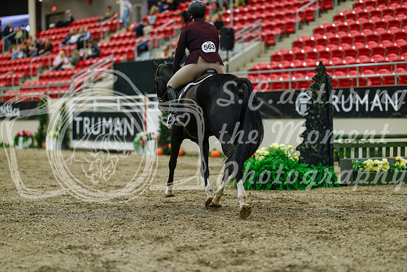 2025 - Haylee - Royal West - Saturday October 18th - 03975